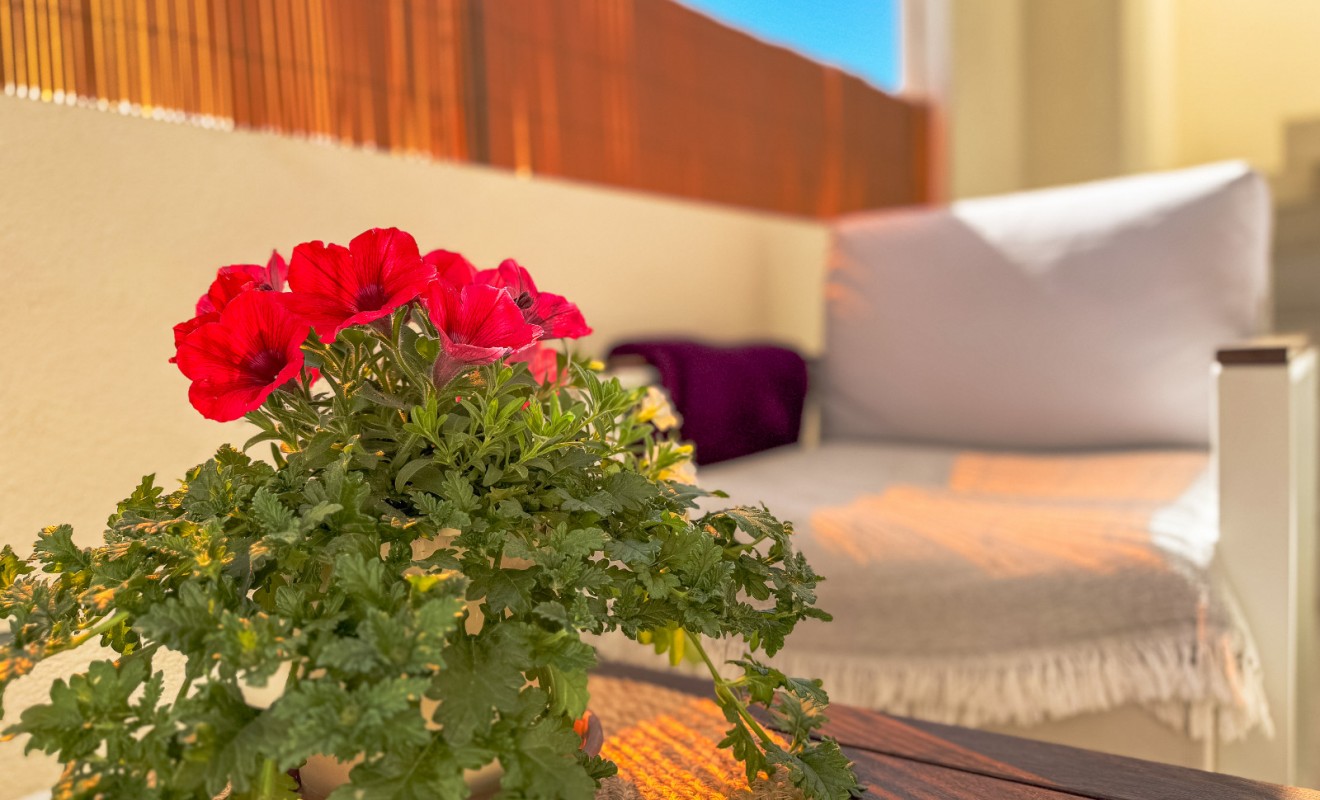 Wederverkoop - Bungalow - Los Altos