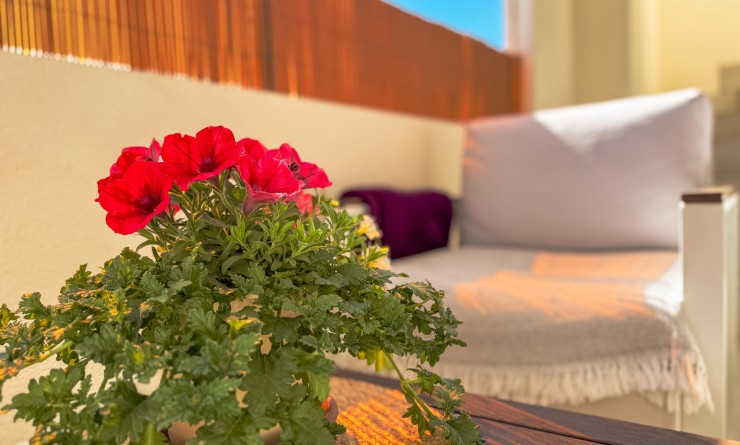 Wederverkoop - Bungalow - Los Altos