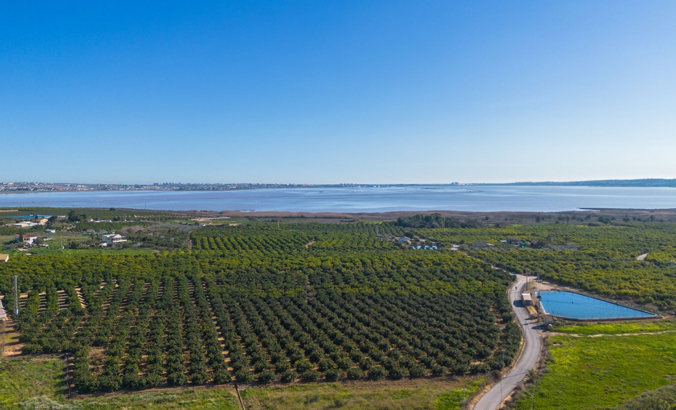 Sale - Apartment / flat - Los Montesinos