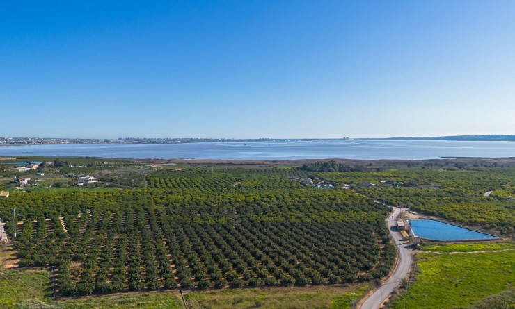 Sale - Apartment / flat - Los Montesinos