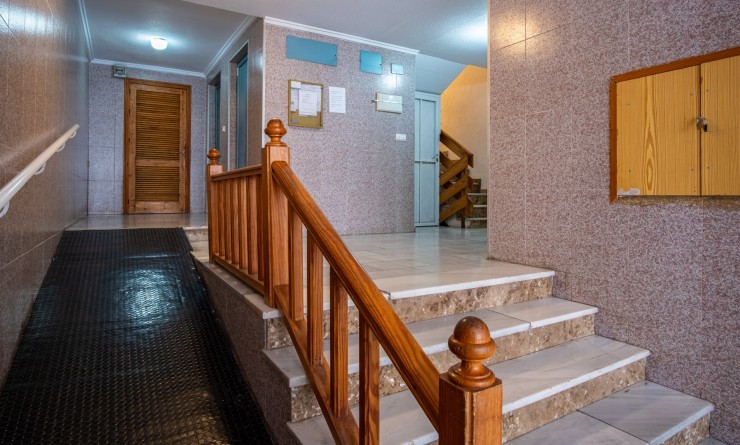 Revente - Studio - Torrevieja - torrevieja