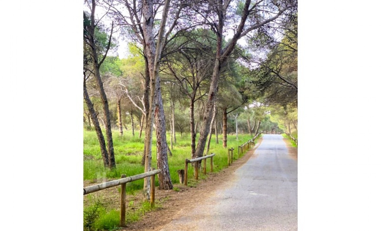 Revente - Appartement - Guardamar del Segura - Puerto Deportivo