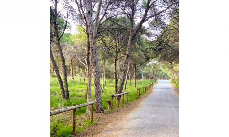 Revente - Appartement - Guardamar del Segura - Puerto Deportivo