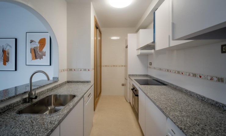 Nieuwbouw woningen - Penthouse - Cuevas Del Almanzora - Herrerias