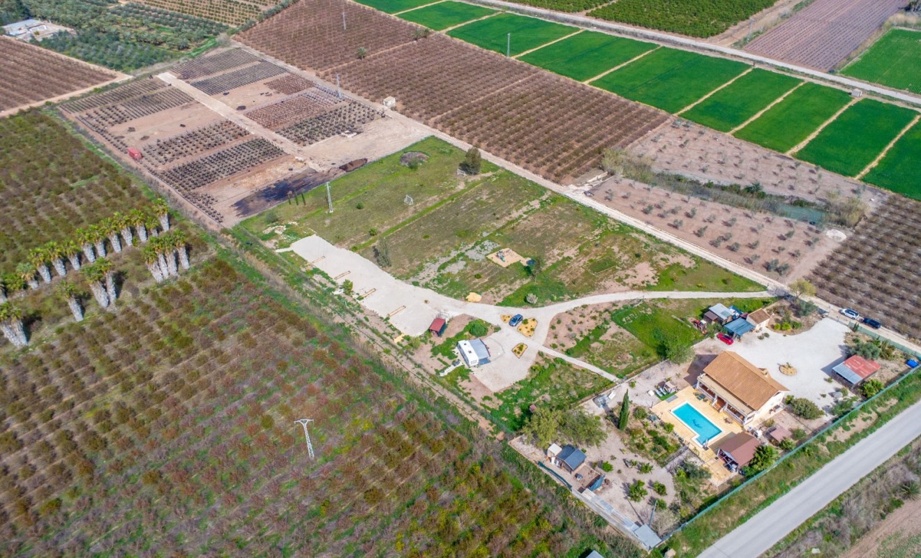 Revente - Finca - Albatera