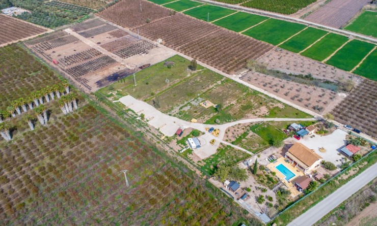 Revente - Finca - Albatera