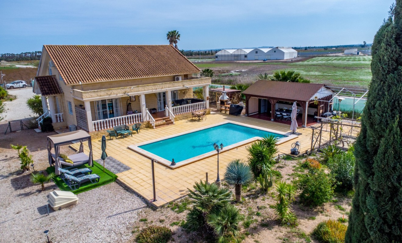 Revente - Finca - Albatera