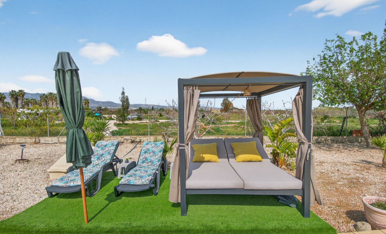 Revente - Finca - Albatera