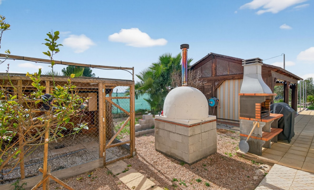 Revente - Finca - Albatera