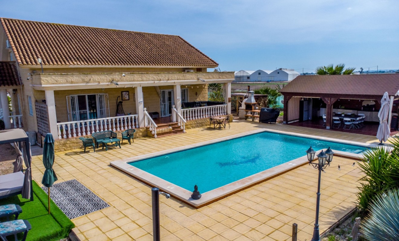 Revente - Finca - Albatera