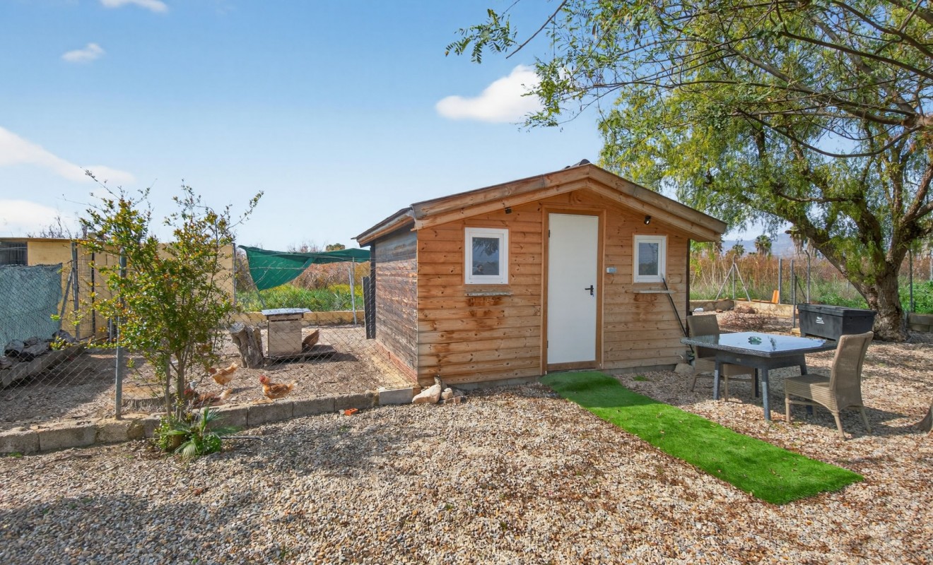 Revente - Finca - Albatera