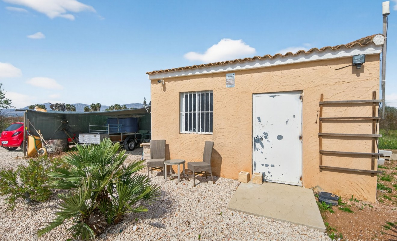 Revente - Finca - Albatera