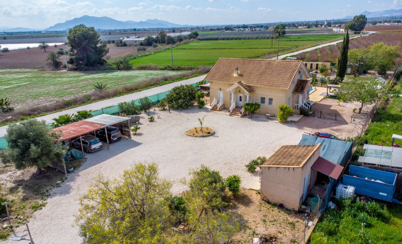 Revente - Finca - Albatera