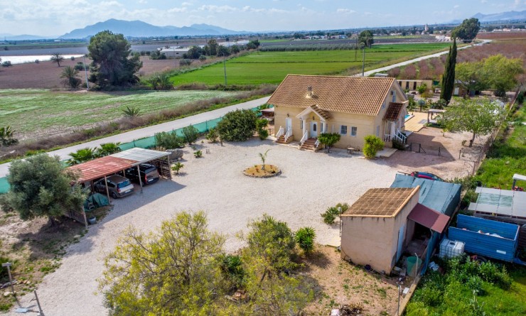 Revente - Finca - Albatera