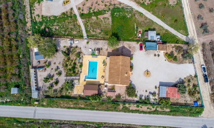 Revente - Finca - Albatera