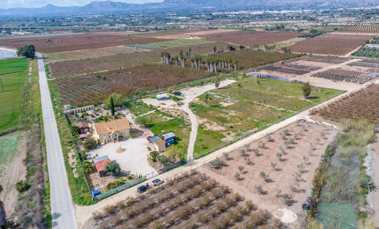 Revente - Finca - Albatera