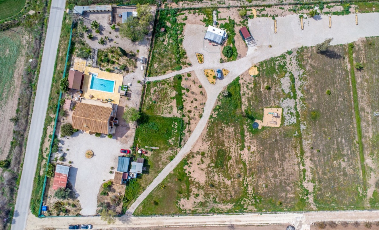 Revente - Finca - Albatera