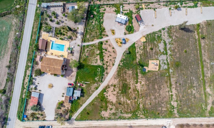 Revente - Finca - Albatera