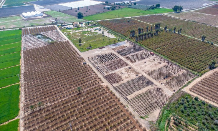 Revente - Finca - Albatera