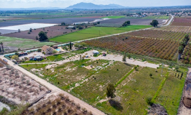 Revente - Finca - Albatera