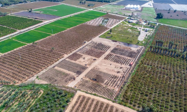 Revente - Finca - Albatera