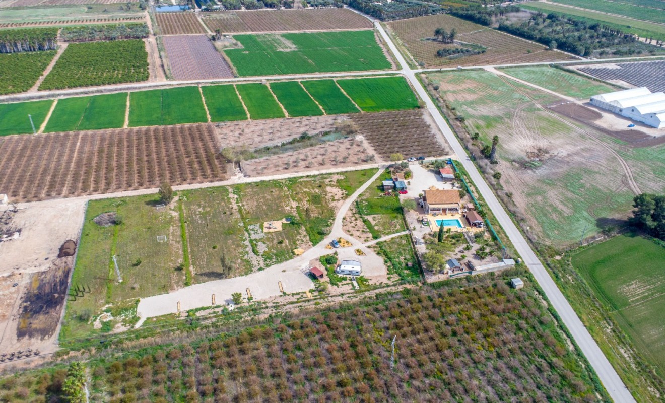 Revente - Finca - Albatera