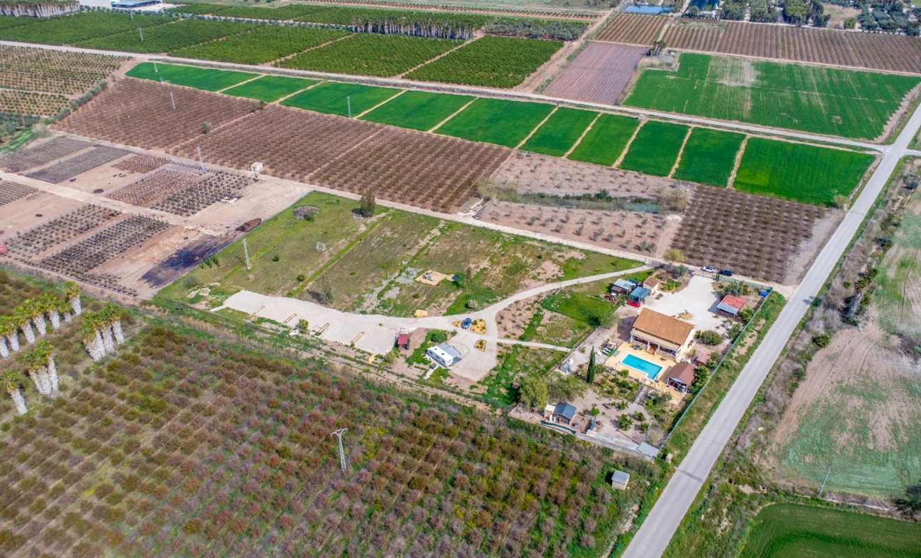 Revente - Finca - Albatera