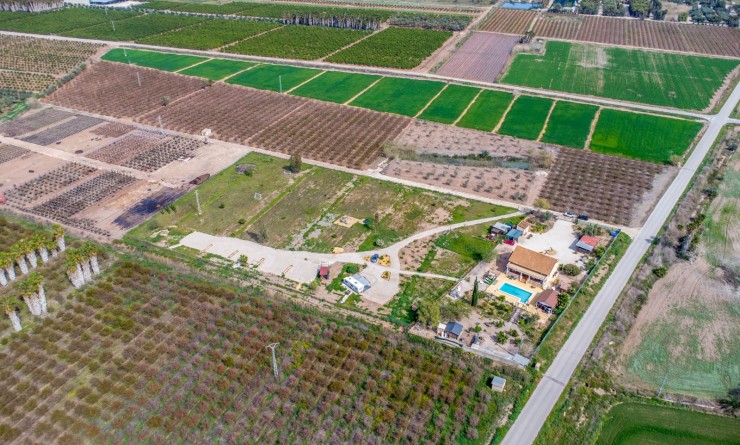 Revente - Finca - Albatera