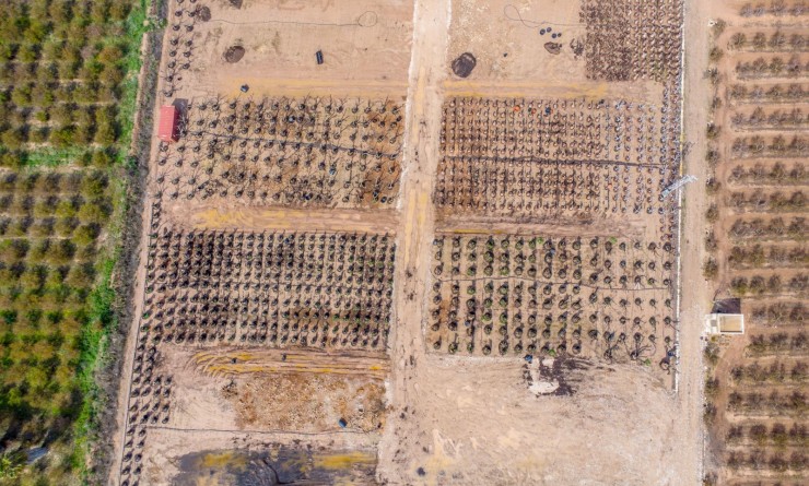 Revente - Finca - Albatera