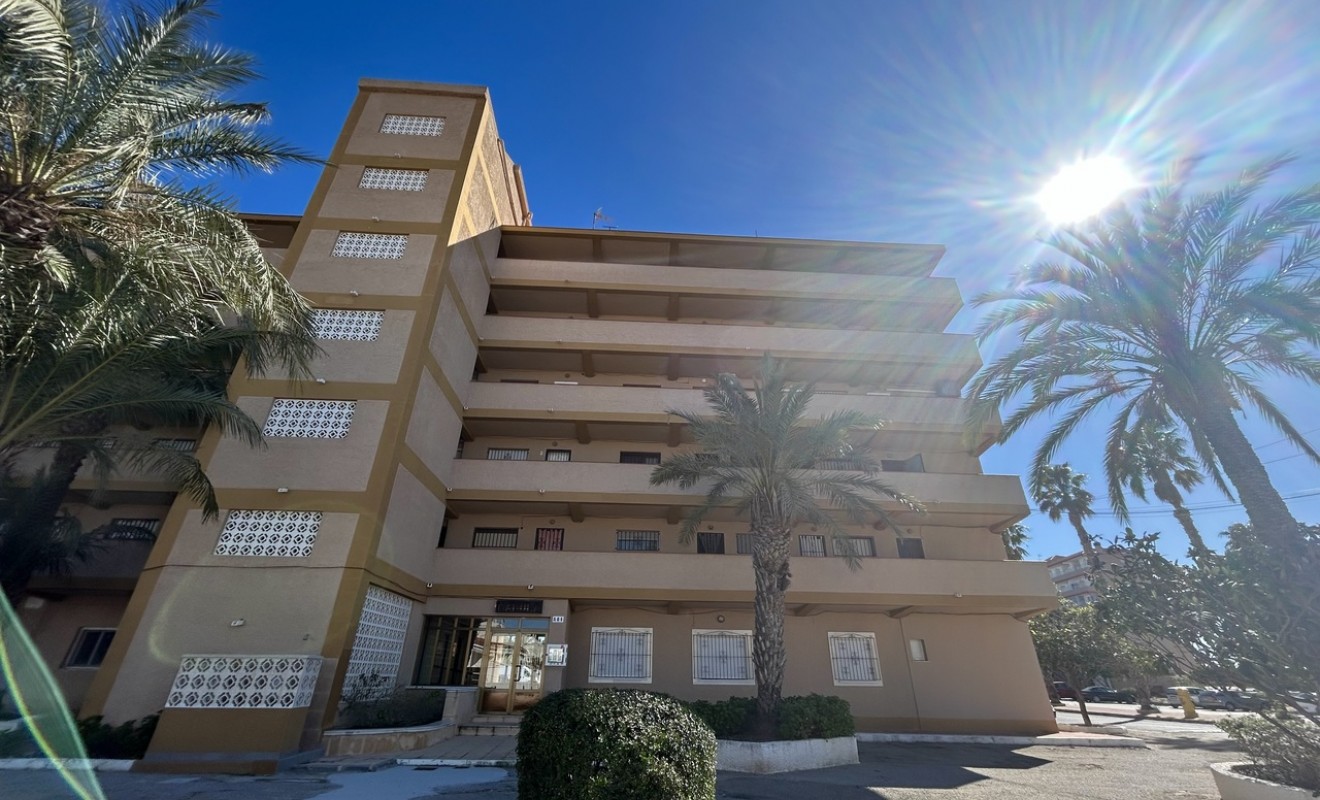 Wederverkoop - Appartement - Guardamar del Segura - guardamar del segura