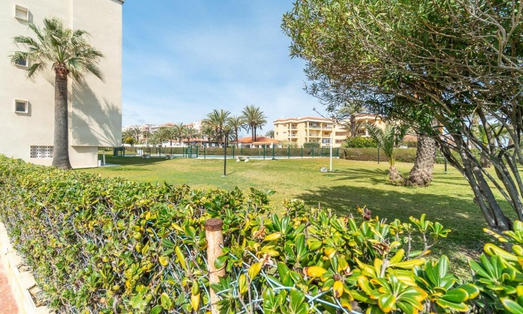 Sale - Apartment - Torrevieja - Rocio del mar