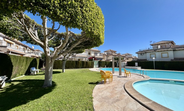 Revente - Appartement - Punta Prima