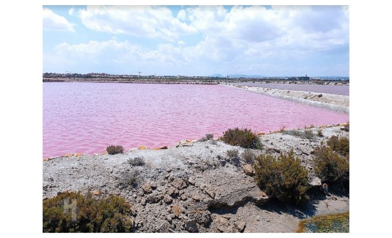 Wederverkoop - Appartement - San Pedro del Pinatar - Lo pagan