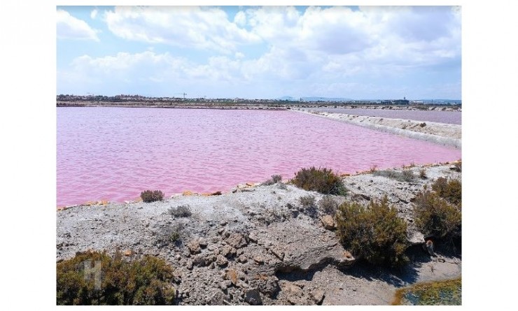 Wederverkoop - Appartement - San Pedro del Pinatar - Lo pagan