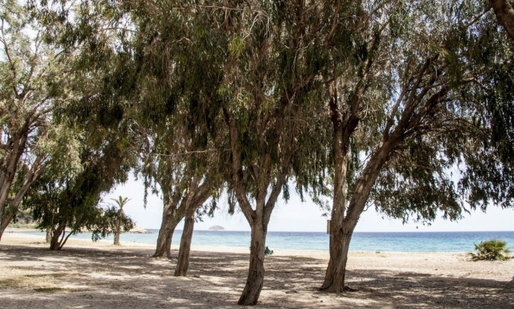 Nieuwbouw woningen - Appartement - Villajoyosa - Playa Les Torres