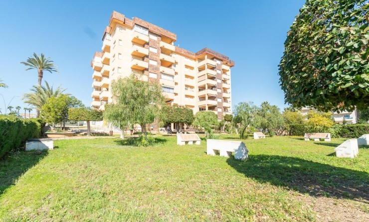 Wederverkoop - Flat - Orihuela Costa - La Zenia