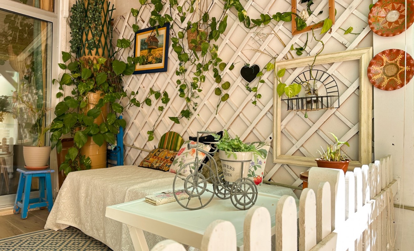 Wederverkoop - Apartment / flat - Torrevieja - Centro