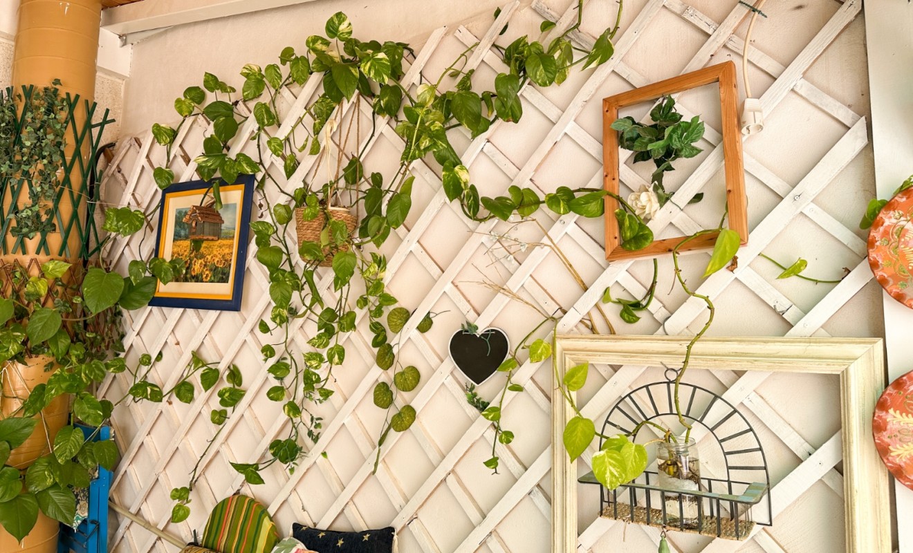 Wederverkoop - Apartment / flat - Torrevieja - Centro