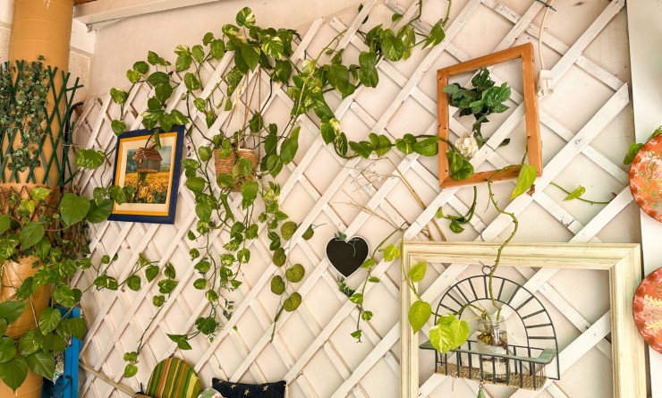 Wederverkoop - Apartment / flat - Torrevieja - Centro