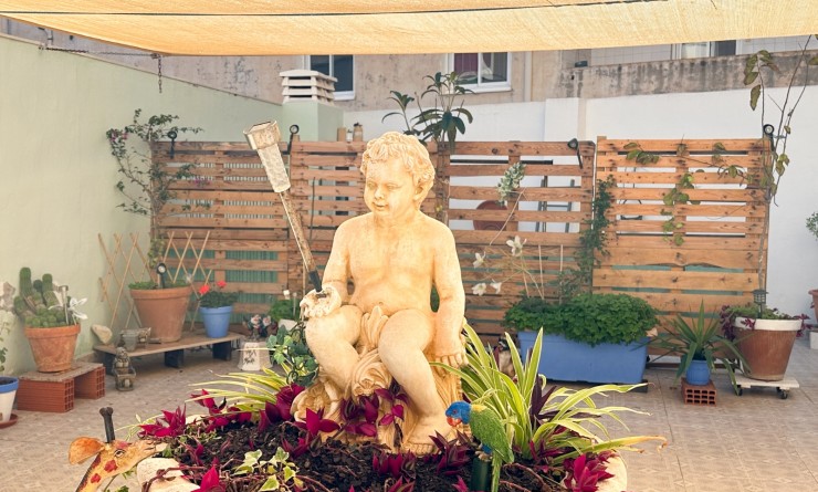 Wederverkoop - Apartment / flat - Torrevieja - Centro