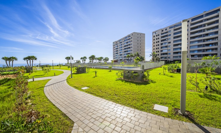 Wederverkoop - Apartamento - Torrevieja - Punta prima