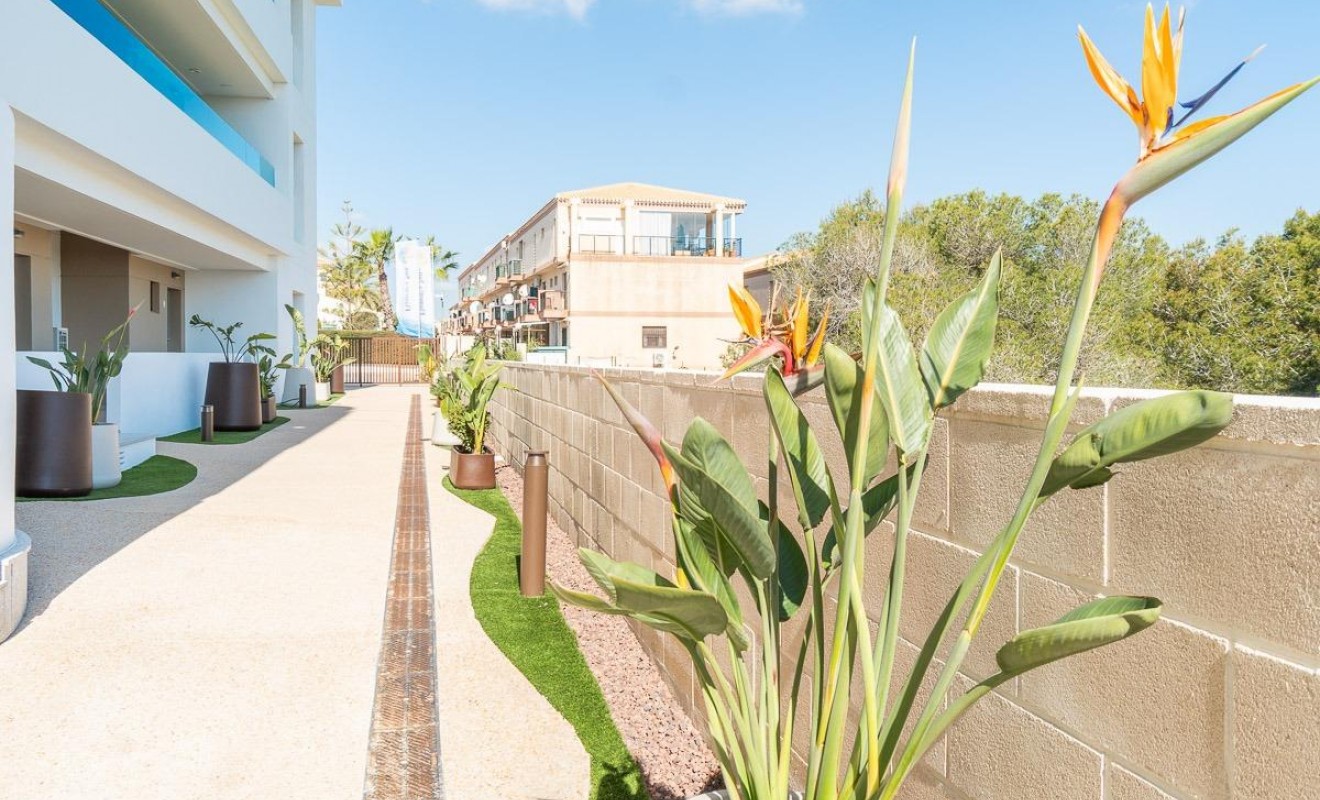 Location longue durée - Rez-de-chaussée - Orihuela Costa - Playa Flamenca