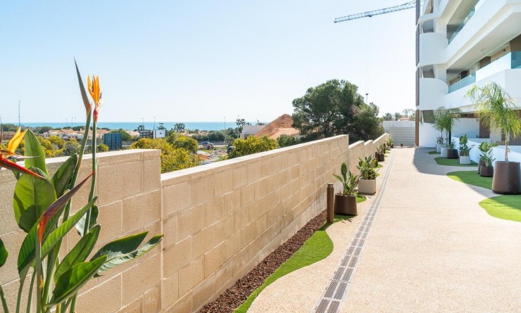 Location longue durée - Rez-de-chaussée - Orihuela Costa - Playa Flamenca