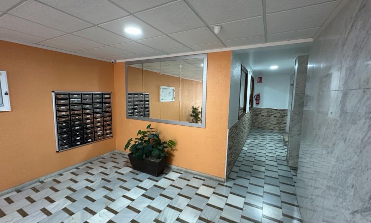 Wederverkoop - Apartment / flat - Torrevieja - El Acequión - Los Náufragos