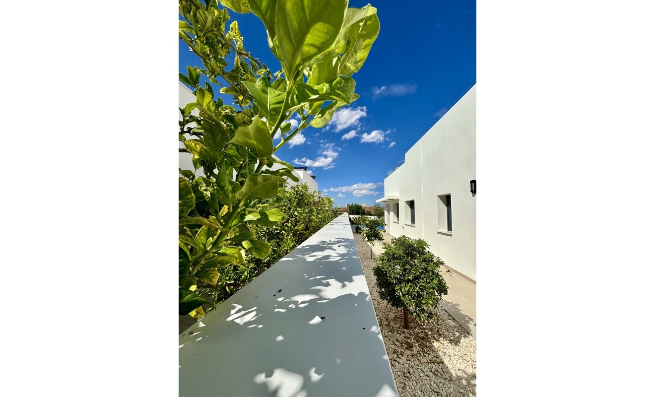 Nouvelle construction - Detached - Benijofar