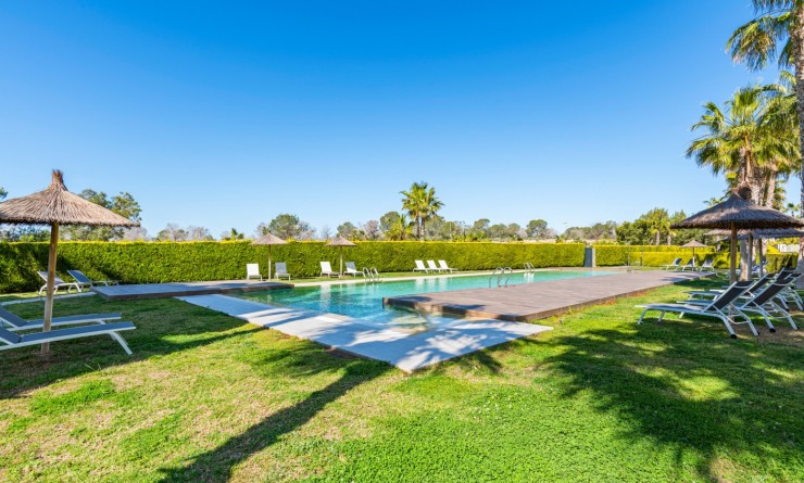 Wederverkoop - 1. Apartment / flat - Orihuela - Las Colinas Golf