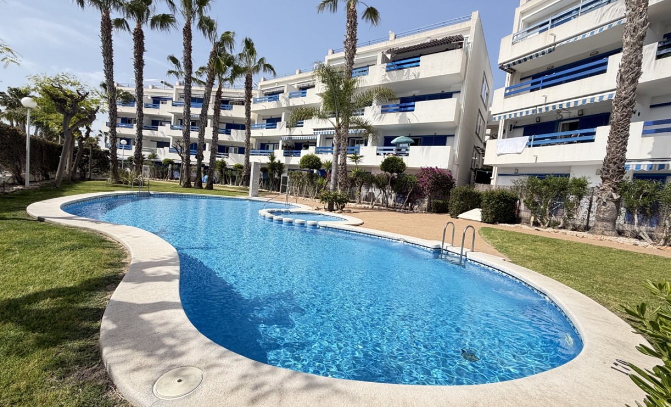 Revente - Appartement - Playa Flamenca
