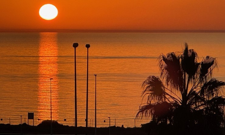 Revente - Appartement - Playa Flamenca