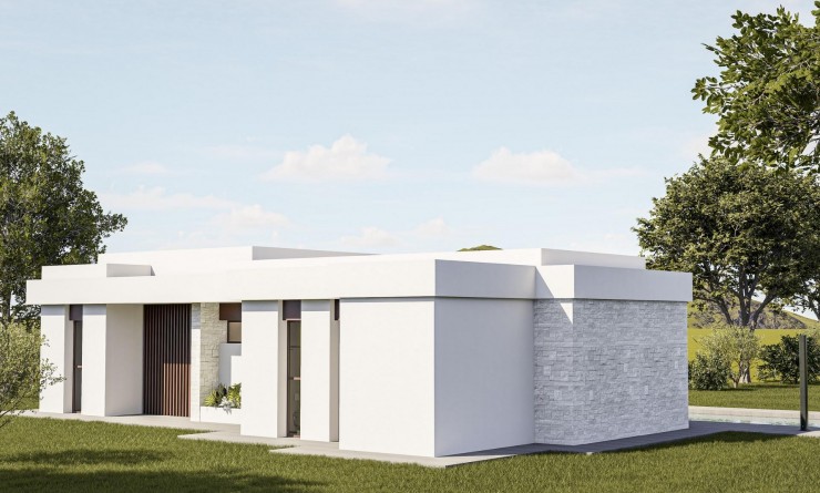 Nieuwbouw woningen - Villa - Pinoso - Lel