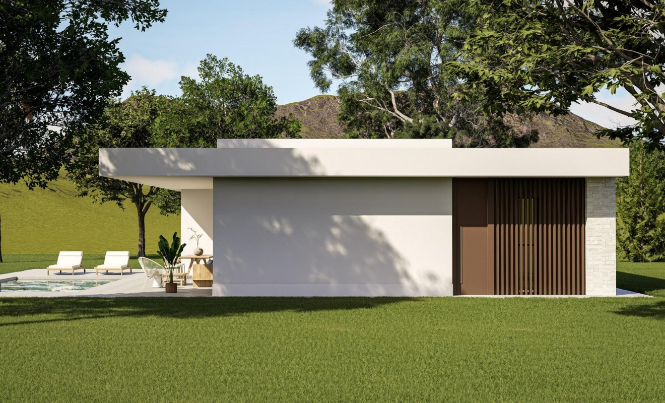 Nieuwbouw woningen - Villa - Pinoso - Lel